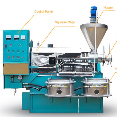 Ticari fıstık kaju fıstığı yerfıstığı soğuk yağ işleme presleme makinesi üreten
