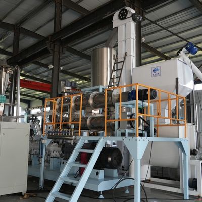 22 * 2 * 4m Kanatlı Yüzer Balık Yemi Üretim Hattı 0,5 ila 6 Ton / H