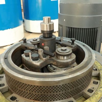 Yonca Bagasse Biyoyakıt Plastik Pelet Yapma Makinesi 5000kg / H 2mm