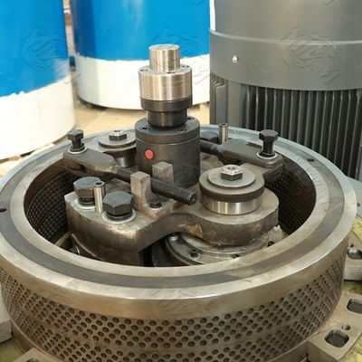 Tamamen otomatik yeni biyokütle Yonca Pelet Üretim Hattı