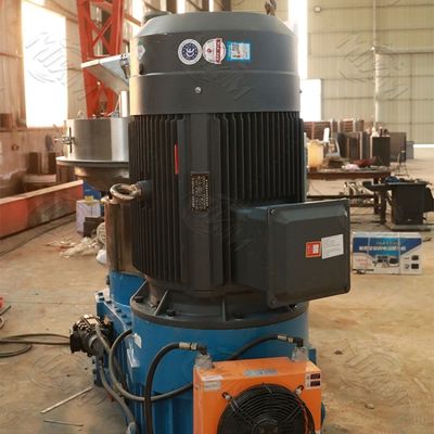 Yonca Bagasse Biyoyakıt Plastik Pelet Yapma Makinesi 5000kg / H 2mm