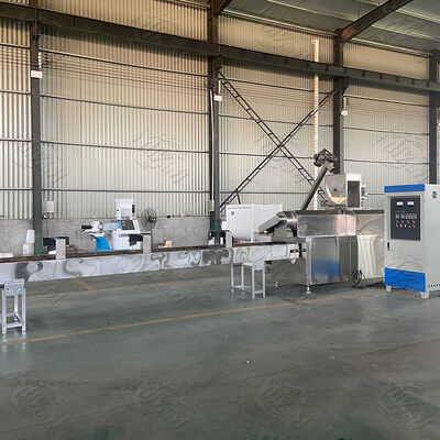 Paslanmaz Çelik Gıda Sınıfı ve Tam Otomatik Kontrol Sistemli Evcil Hayvan Yemi Üretim Hattı için 100-1000kg/saat Kapasiteli Çift Vidalı Ekstruder