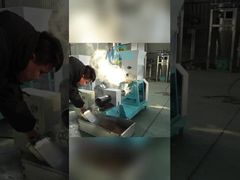 Floating Feed Pellet Machine Professional Fish Feed Machines Manufacturer