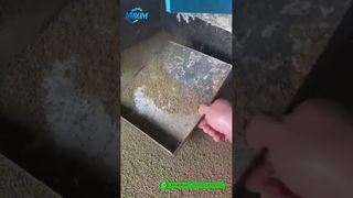 Karides Yemi Pelet Değirmeni | Fabrika Bitmiş Ürün Üretim Demosu#yem pelet makinesi