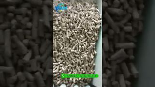 Biyokütle Ahşap Pelet Makinesi | Talaş Pelet Üretim hattı için Halka Kalıp Pelet Değirmeni